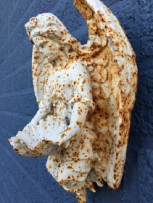 Wall ornament angel with shell, cast iron-old white-rust